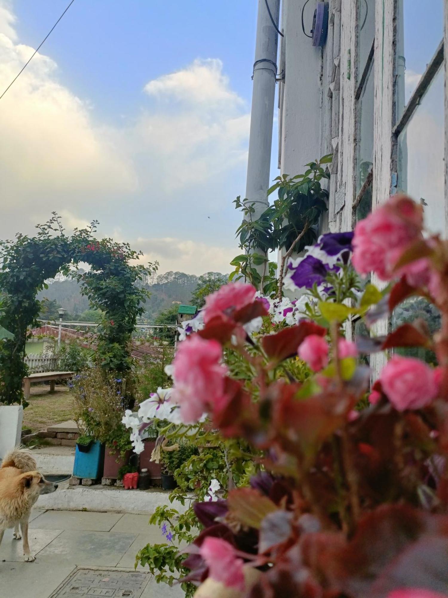 Mohraj Home Stay Bhowali Exterior foto